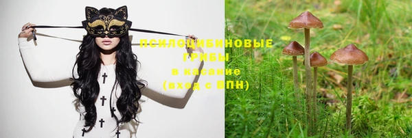 крисы Абинск