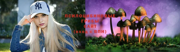 ешки Покачи