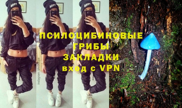 крисы Абинск