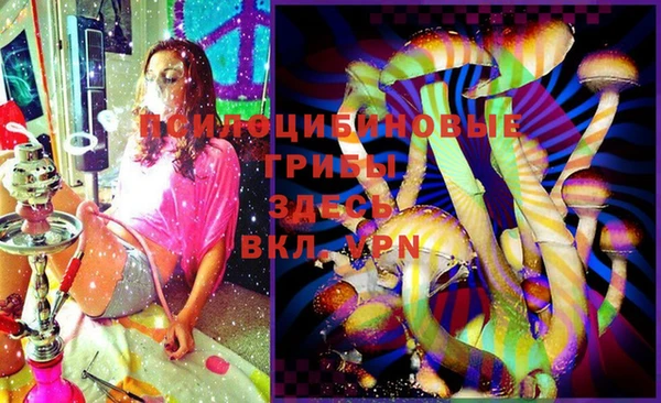 крисы Абинск