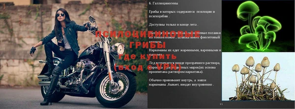 крисы Абинск