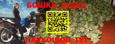 крисы Заводоуковск